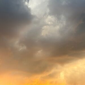 Meet your Posher, Felicia